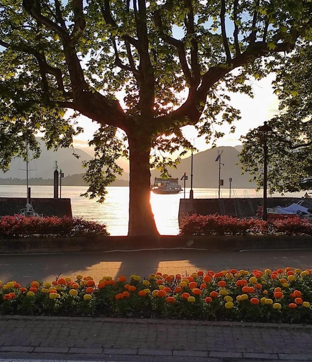 Lily Lake Maggiore Laveno-Mombello Exterior foto